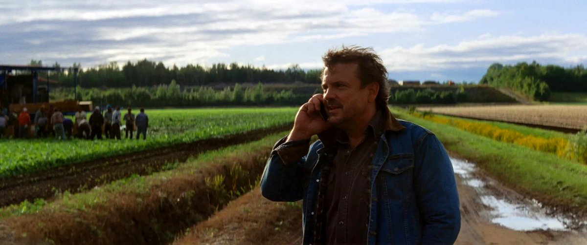 Photo du film Les oiseaux ivres