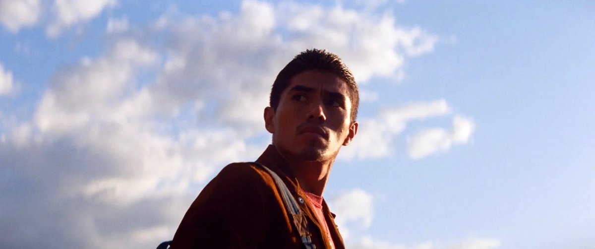 Photo du film Les oiseaux ivres