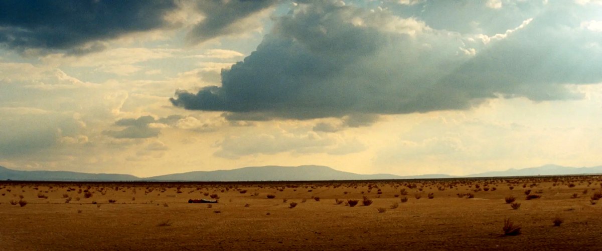 Photo du film Les oiseaux ivres