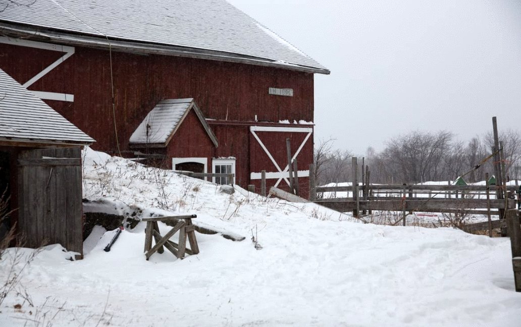Photo du film L'acte de la beauté