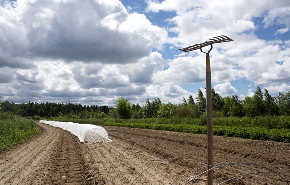 Photo du film L'acte de la beauté