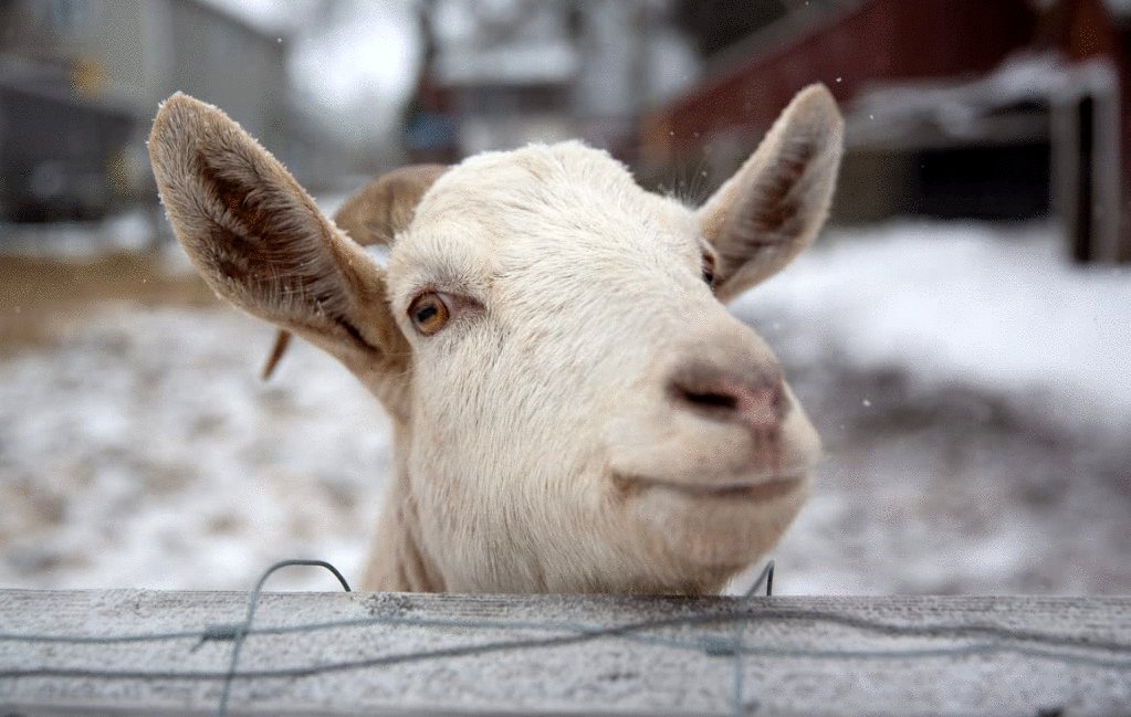 Photo du film L'acte de la beauté