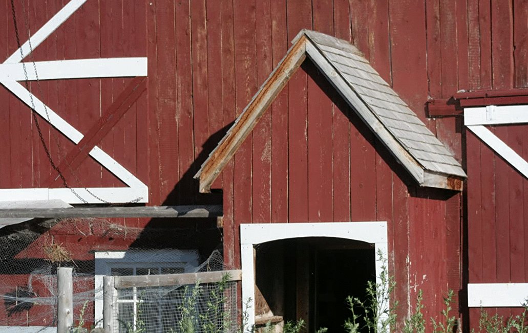 Photo du film L'acte de la beauté