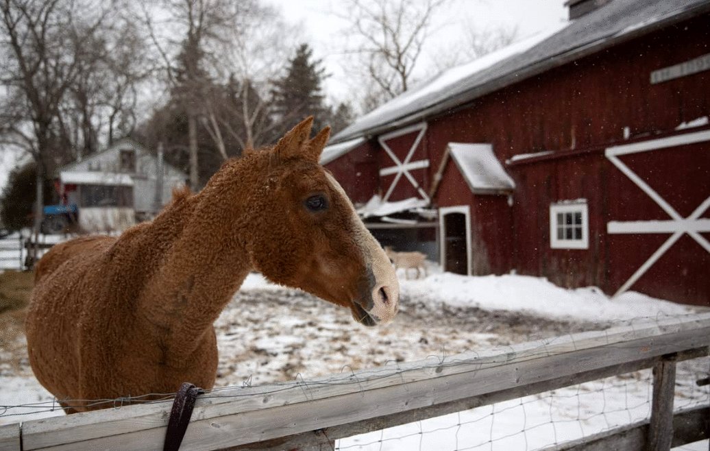 Photo du film L'acte de la beauté