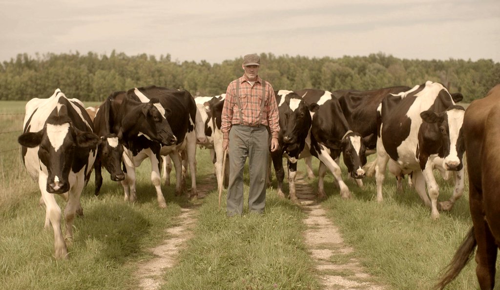 Photo du film The Drawer Boy