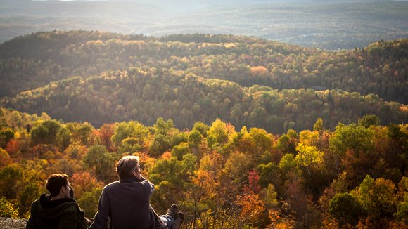 Photo du film Là où Atilla passe…
