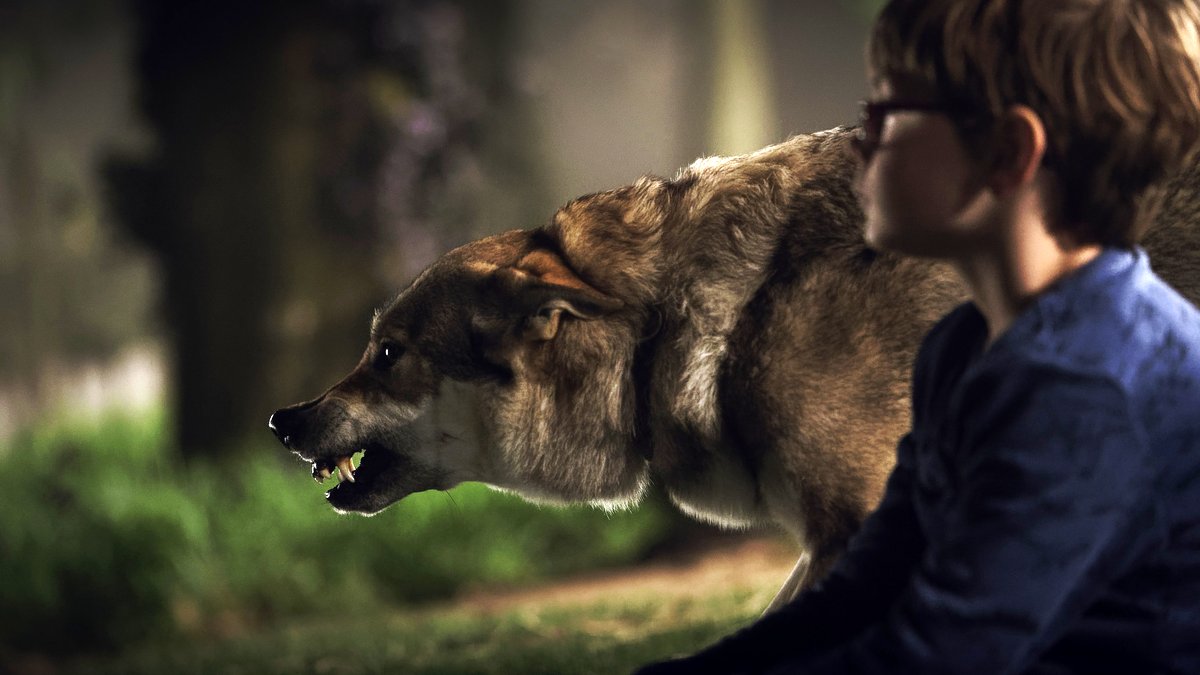 Photo du film La Couleur tombée du ciel