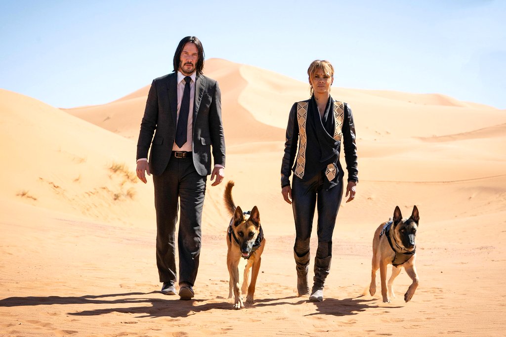 Photo du film John Wick Chapitre 3: Parabellum v.f.