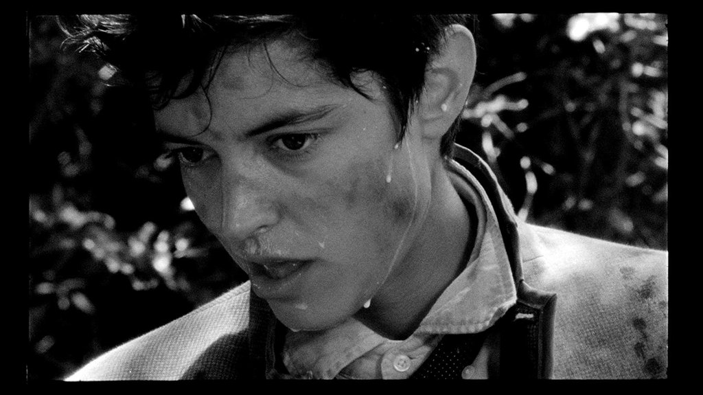 Photo du film Les Garçons sauvages