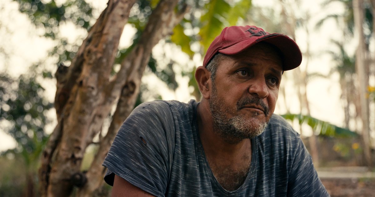 Photo du film The Territory