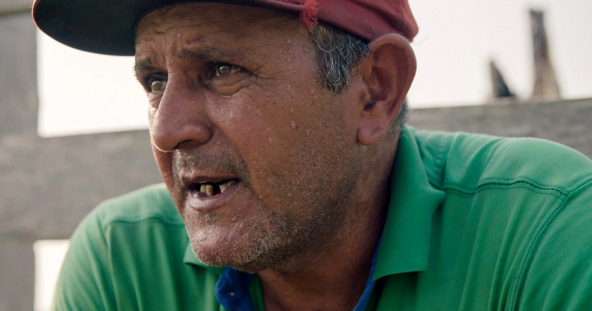 Photo du film The Territory