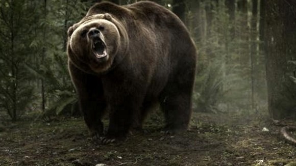 Photo from the movie Into the Grizzly Maze