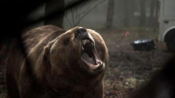 Photo from the movie Into the Grizzly Maze