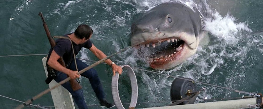 Photo from the movie Jaws