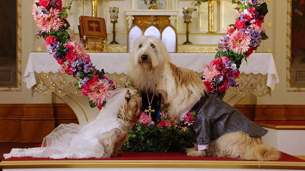 Photo from the movie Puppy Star Christmas