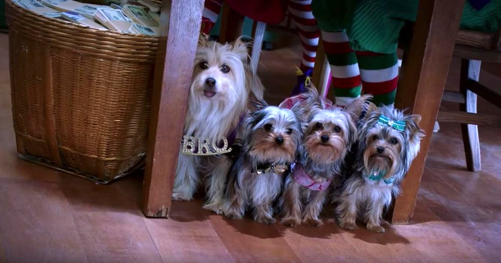 Photo from the movie Puppy Star Christmas