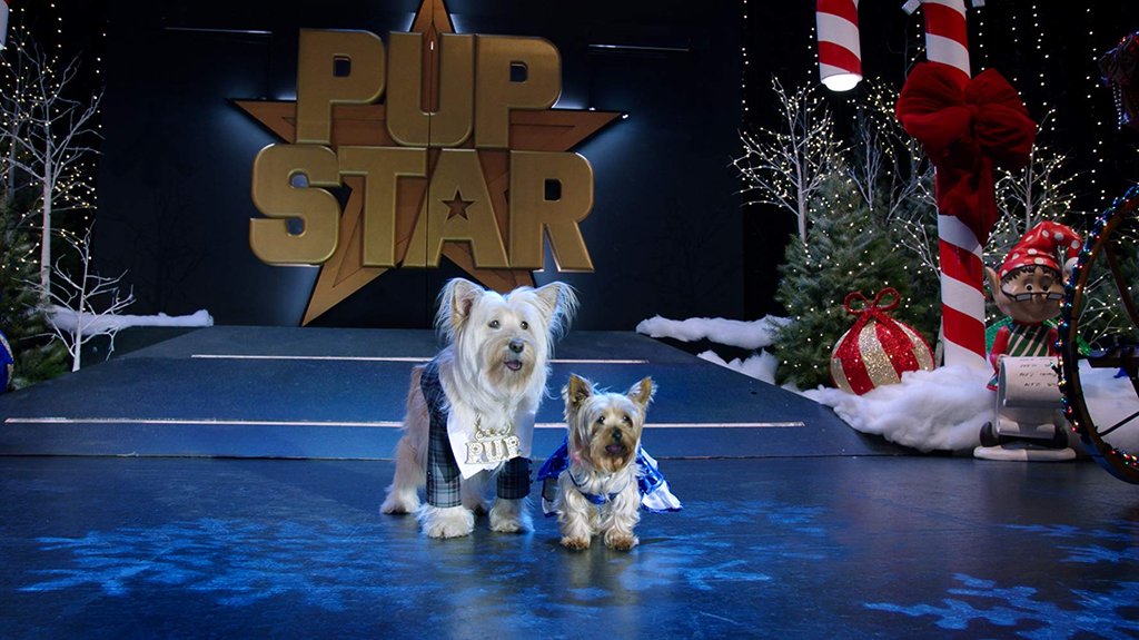 Photo from the movie Puppy Star Christmas