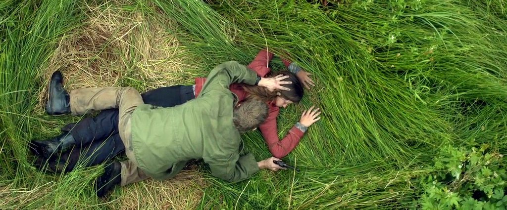 Photo du film The Survivalist