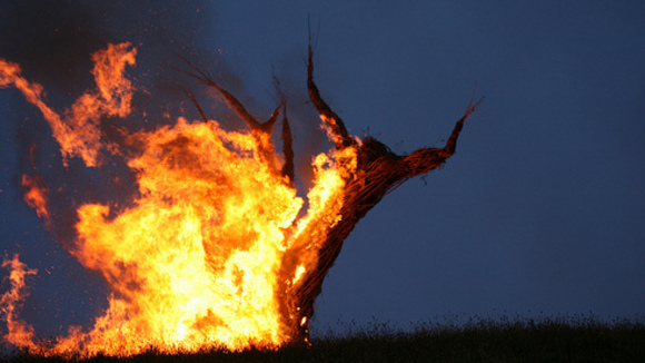 Photo du film The Wicker Tree