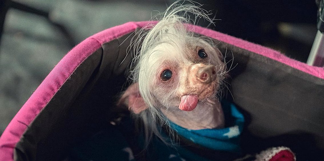 Photo du film Too Much