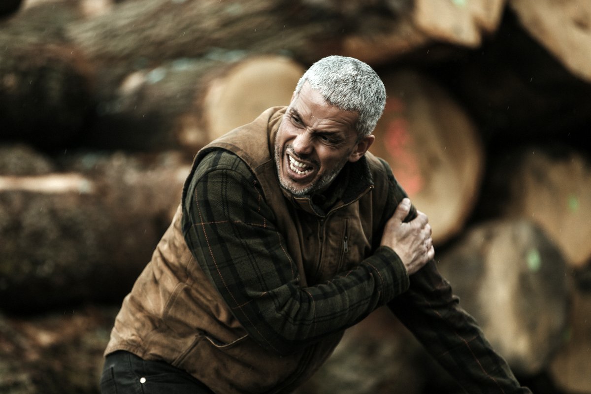 Photo du film La terre et le sang