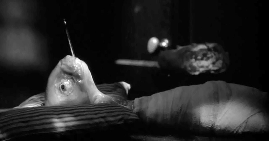 Photo du film Eraserhead