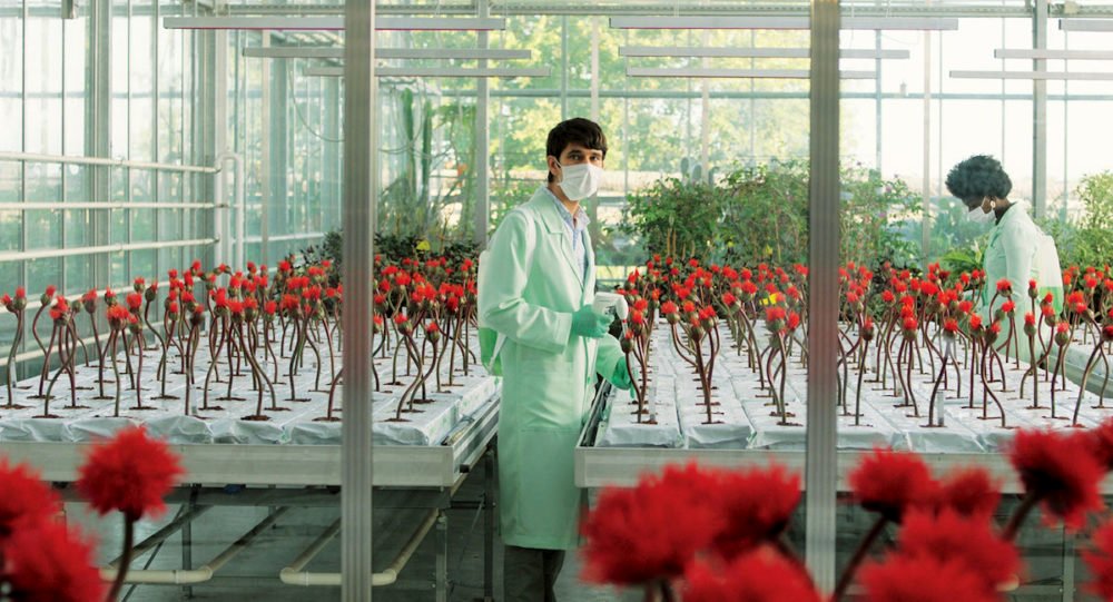 Photo from the movie Little Joe