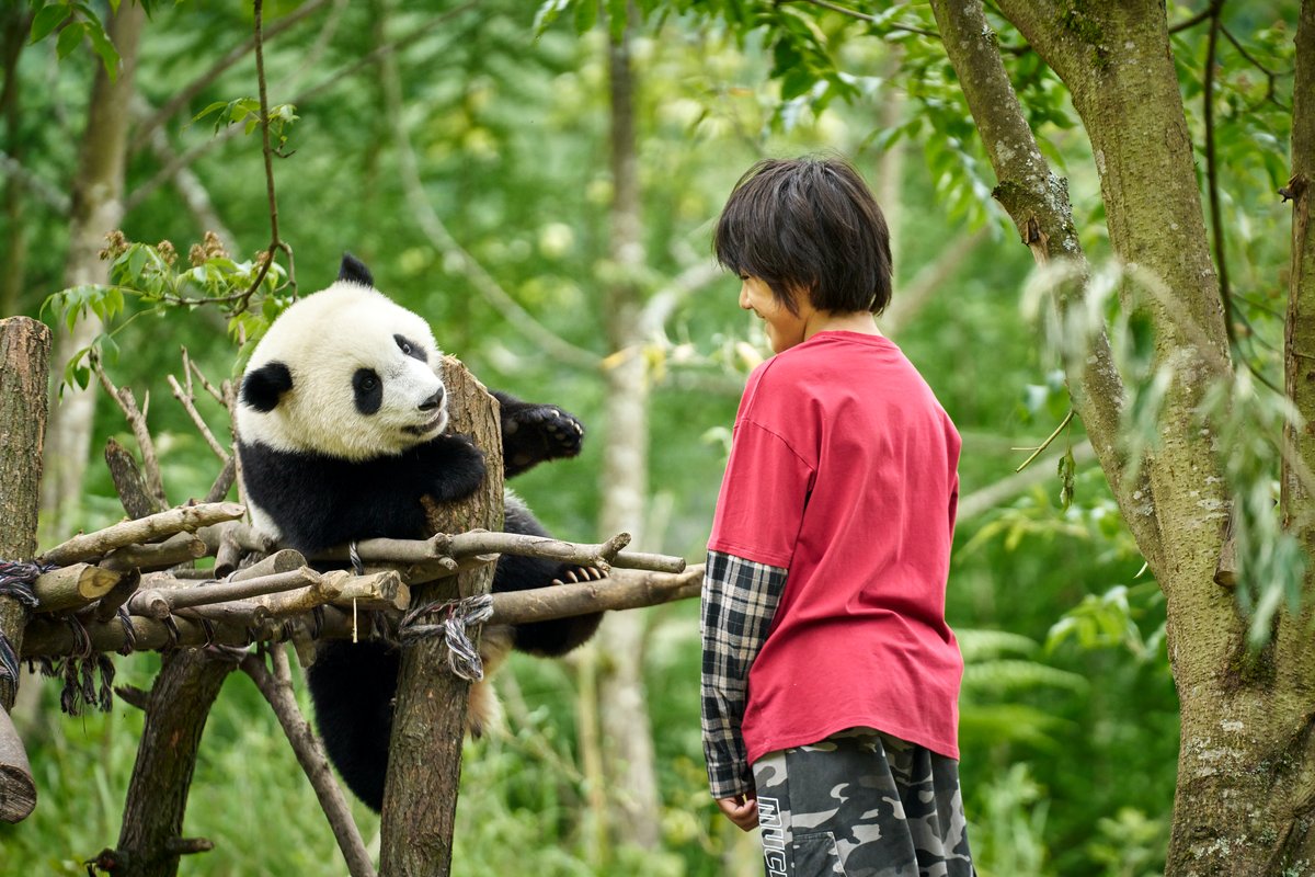 Photo from the movie Moon the Panda