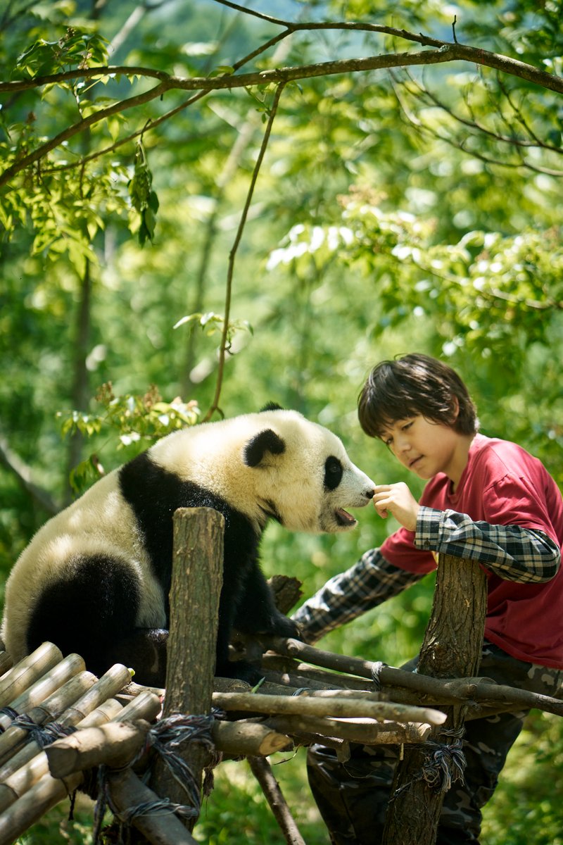 Photo from the movie Moon the Panda