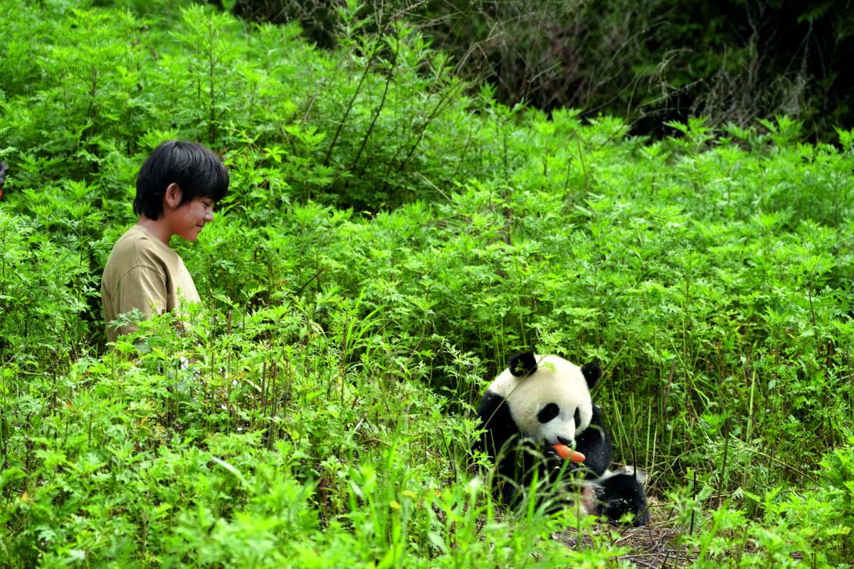 Photo from the movie Moon the Panda