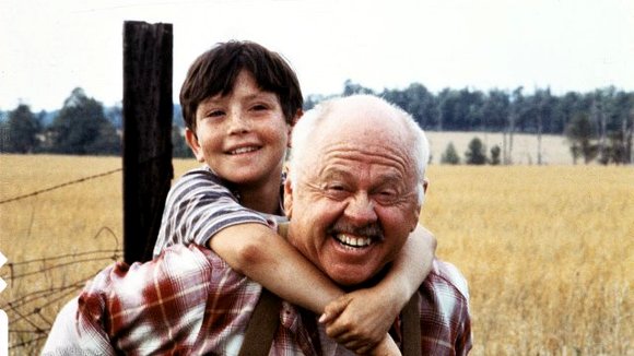 Photo du film L'étalon noir