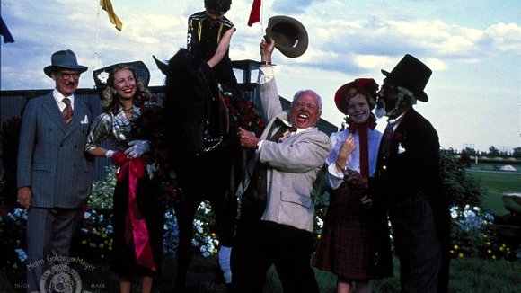 Photo du film L'étalon noir