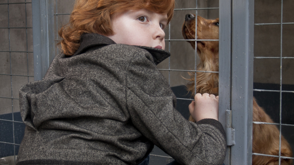 Photo from the movie Billy and Buddy