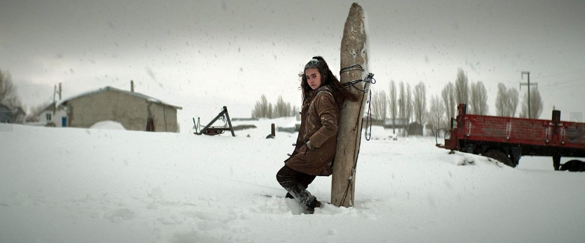 Photo du film Les herbes sèches