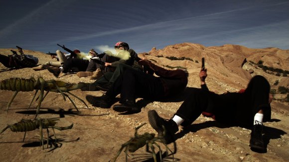 Photo from the movie Camel Spiders