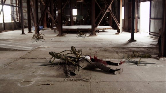 Photo from the movie Camel Spiders