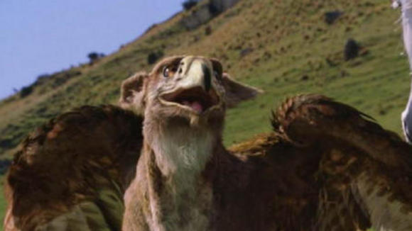 Photo du film Les Chroniques de Narnia: L'Armoire Magique