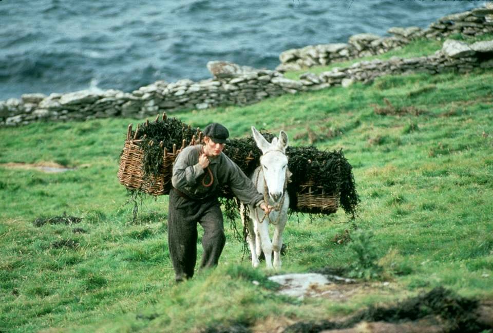 Photo du film Far and Away