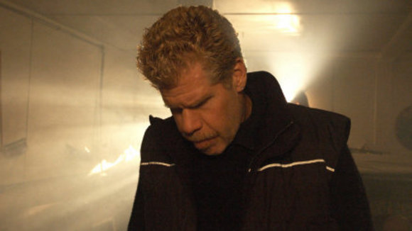 Photo du film The Last Winter