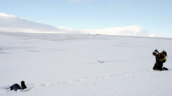 Photo du film The Last Winter