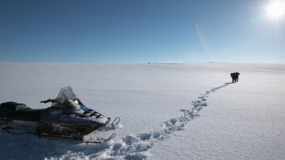 Photo du film The Last Winter