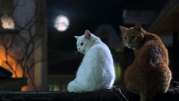 Photo from the movie Miss Minoes