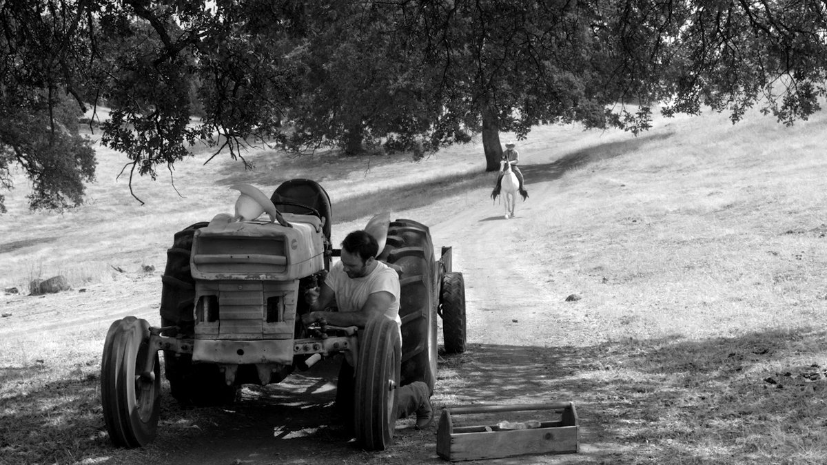 Photo du film The Divide