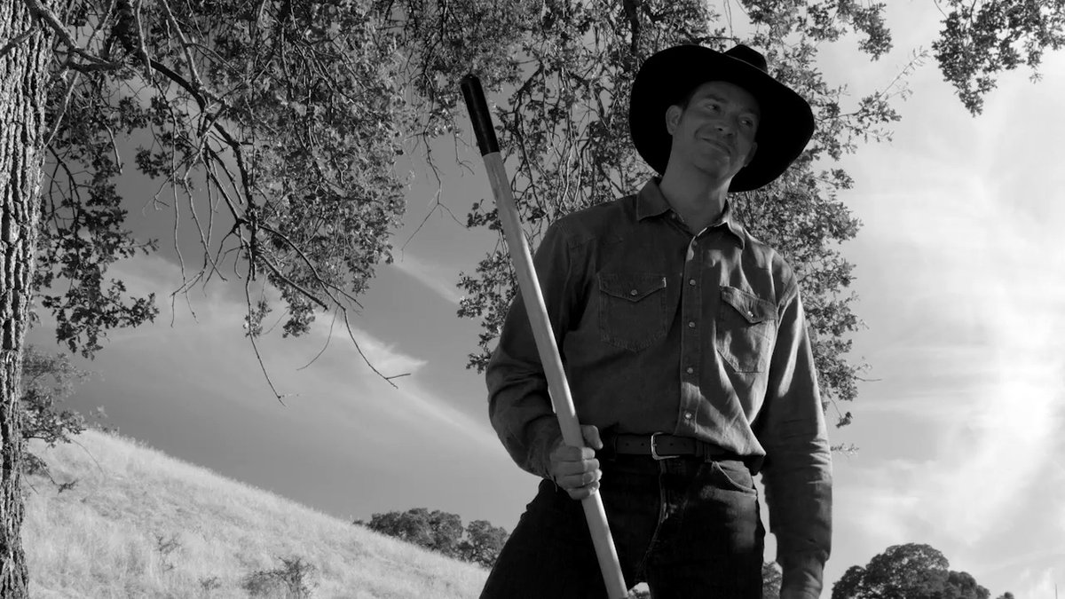 Photo du film The Divide