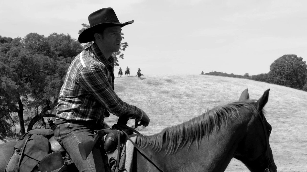 Photo du film The Divide