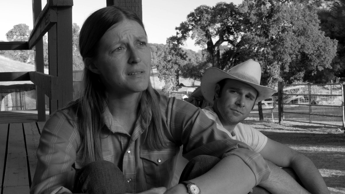 Photo du film The Divide