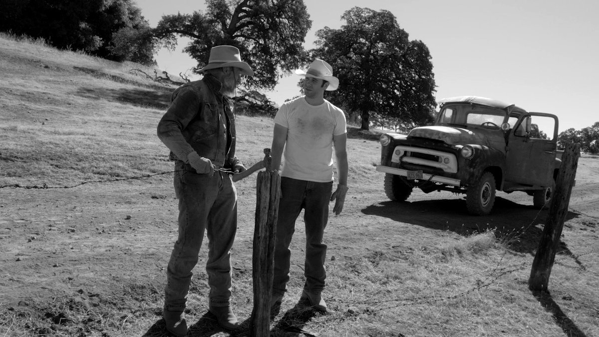 Photo du film The Divide