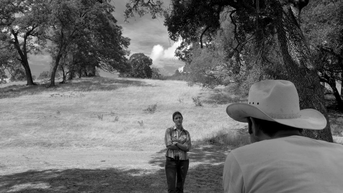 Photo du film The Divide