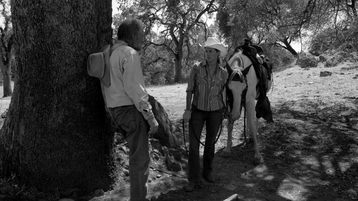 Photo du film The Divide