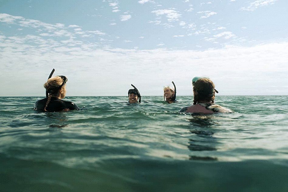 Photo du film The Reef: Stalked